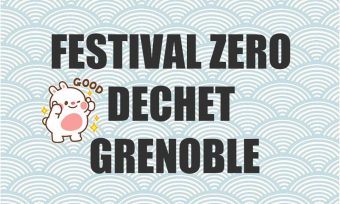 festival zd Grenoble festival zd Grenoble