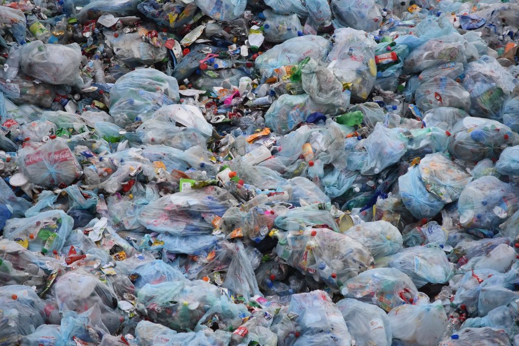 Fin des sacs plastique à usage unique : un an d'action